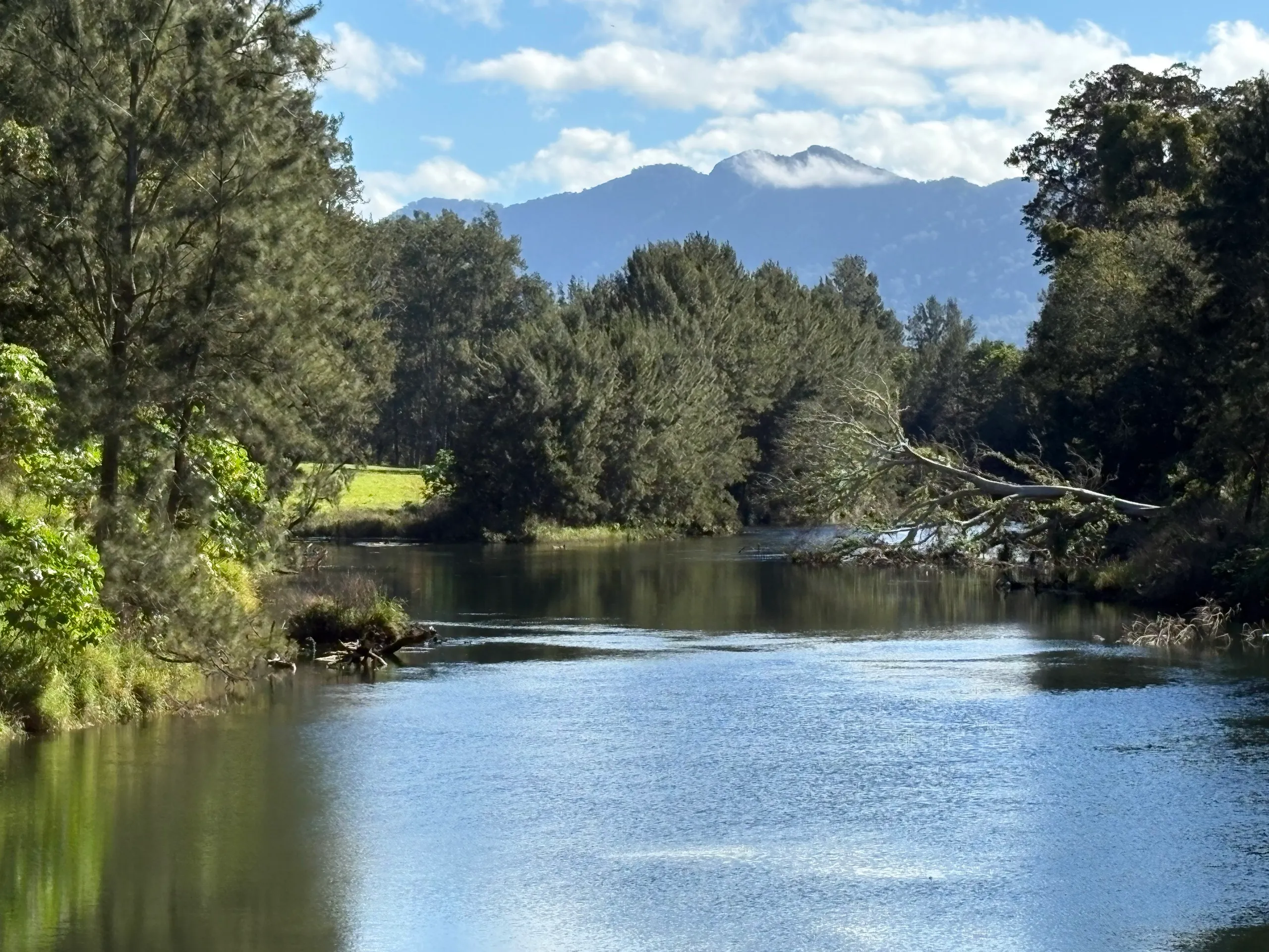 Bellingen, NSW