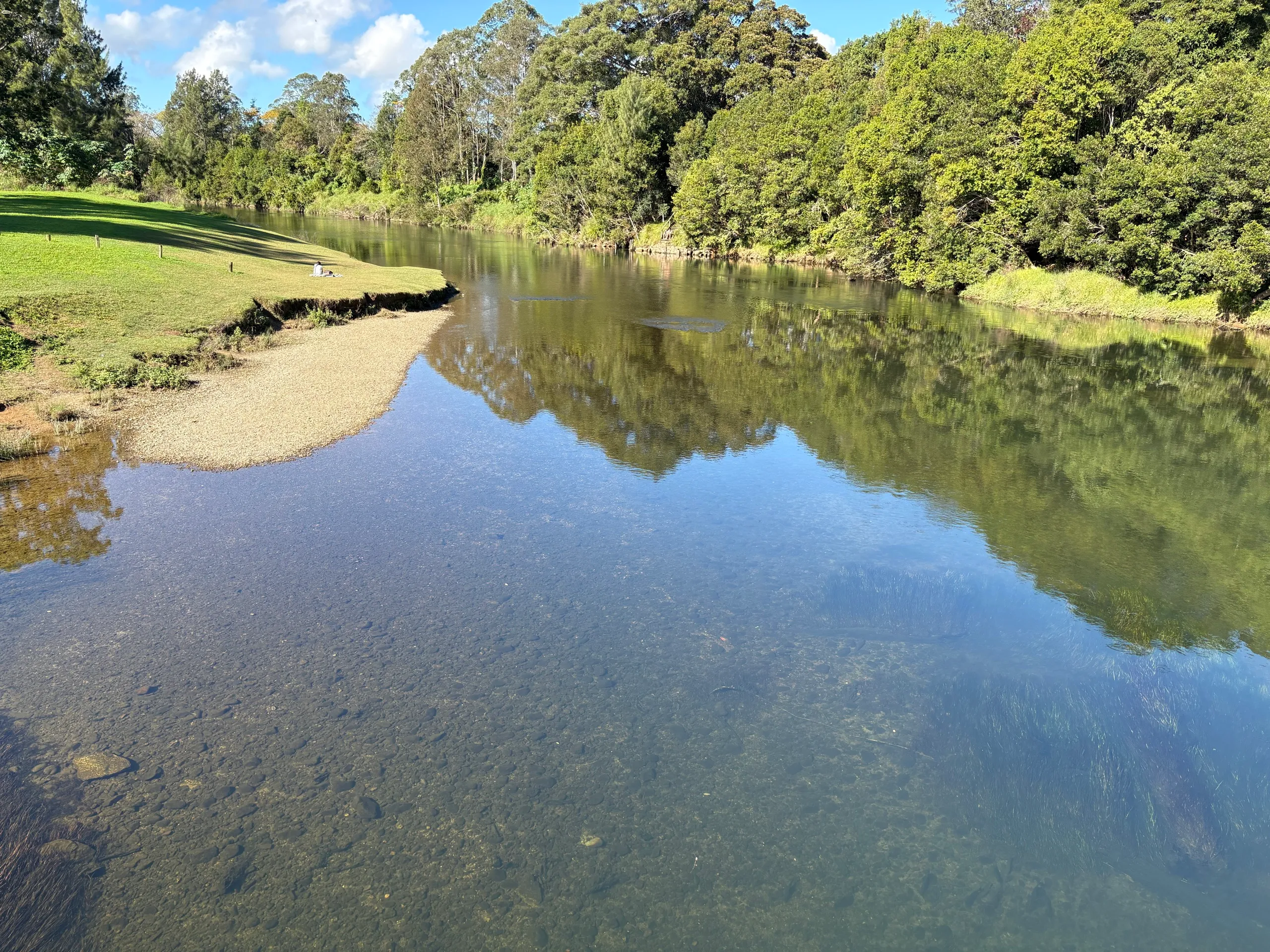 Clear water running over gravel on the Bellinger River