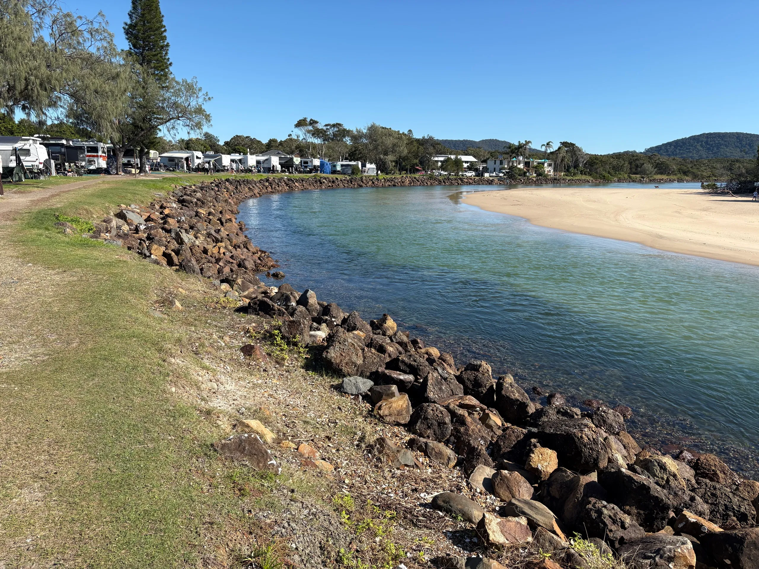 Caravans and campers lining Killick Creek at the Crescent Head holiday park