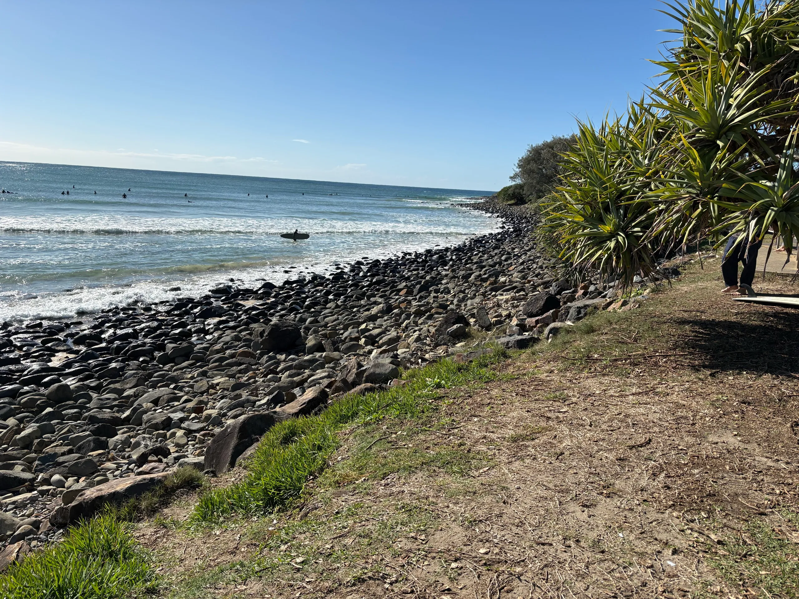Surfers in the water beside the rocky point at Crescent Head