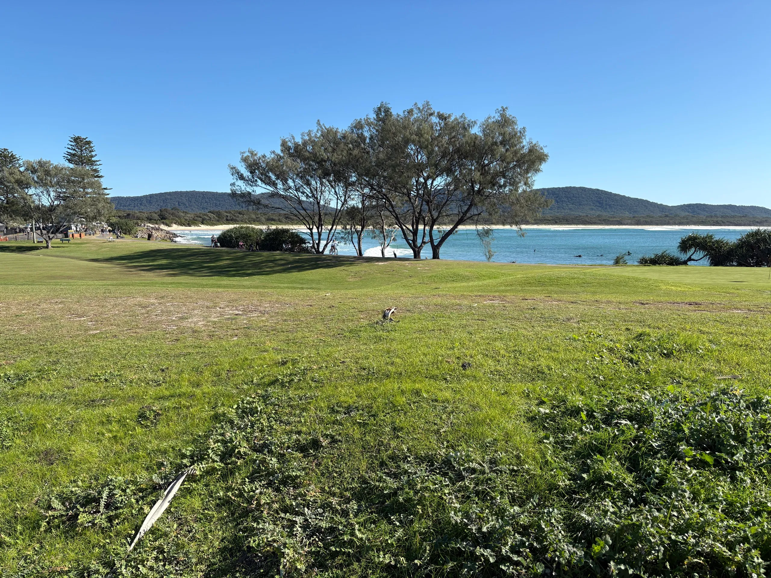 The golf course green sloping down to Killick Creek and the beach at Crescent Head