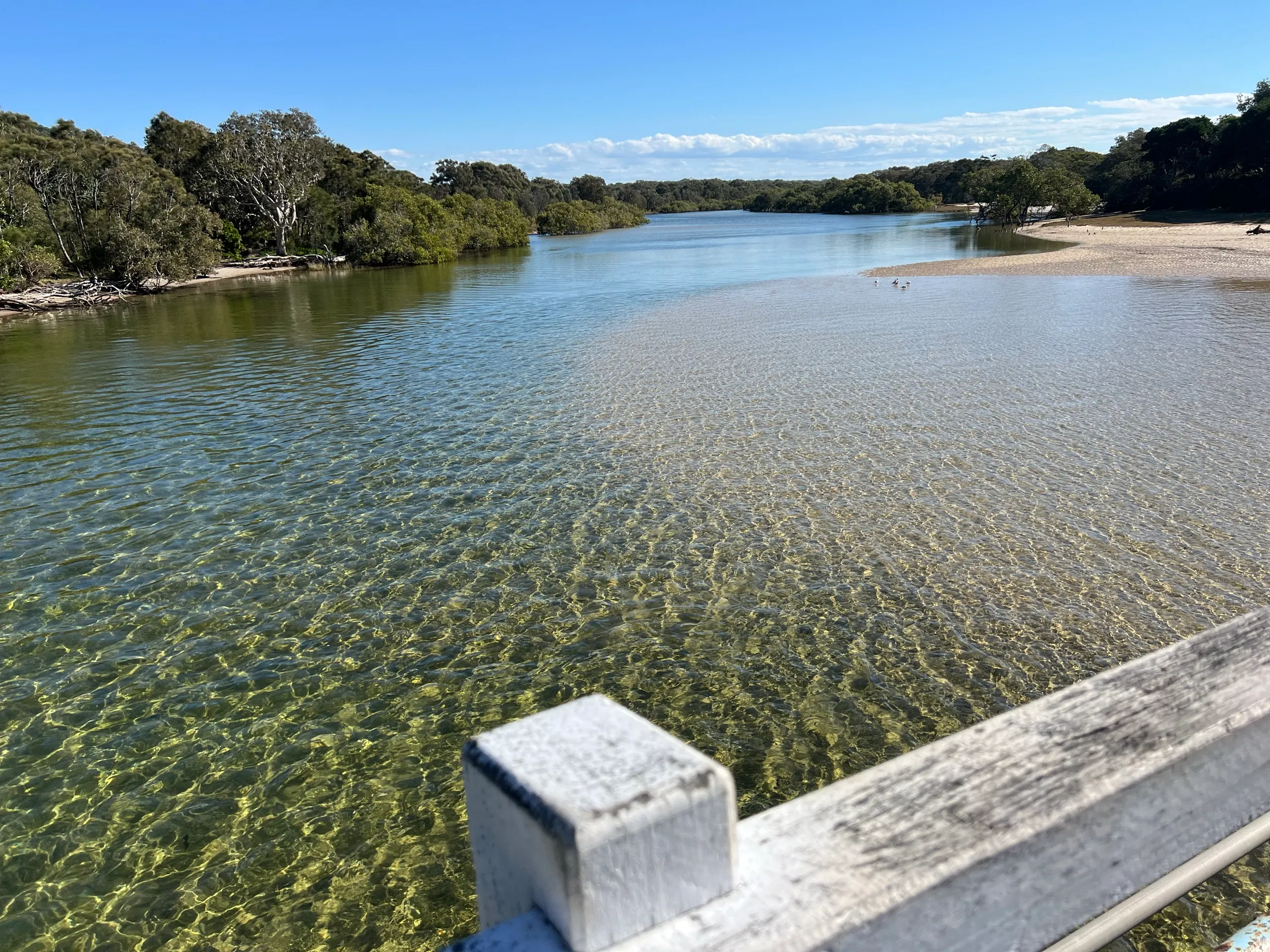 The calmest swims on the Mid North Coast