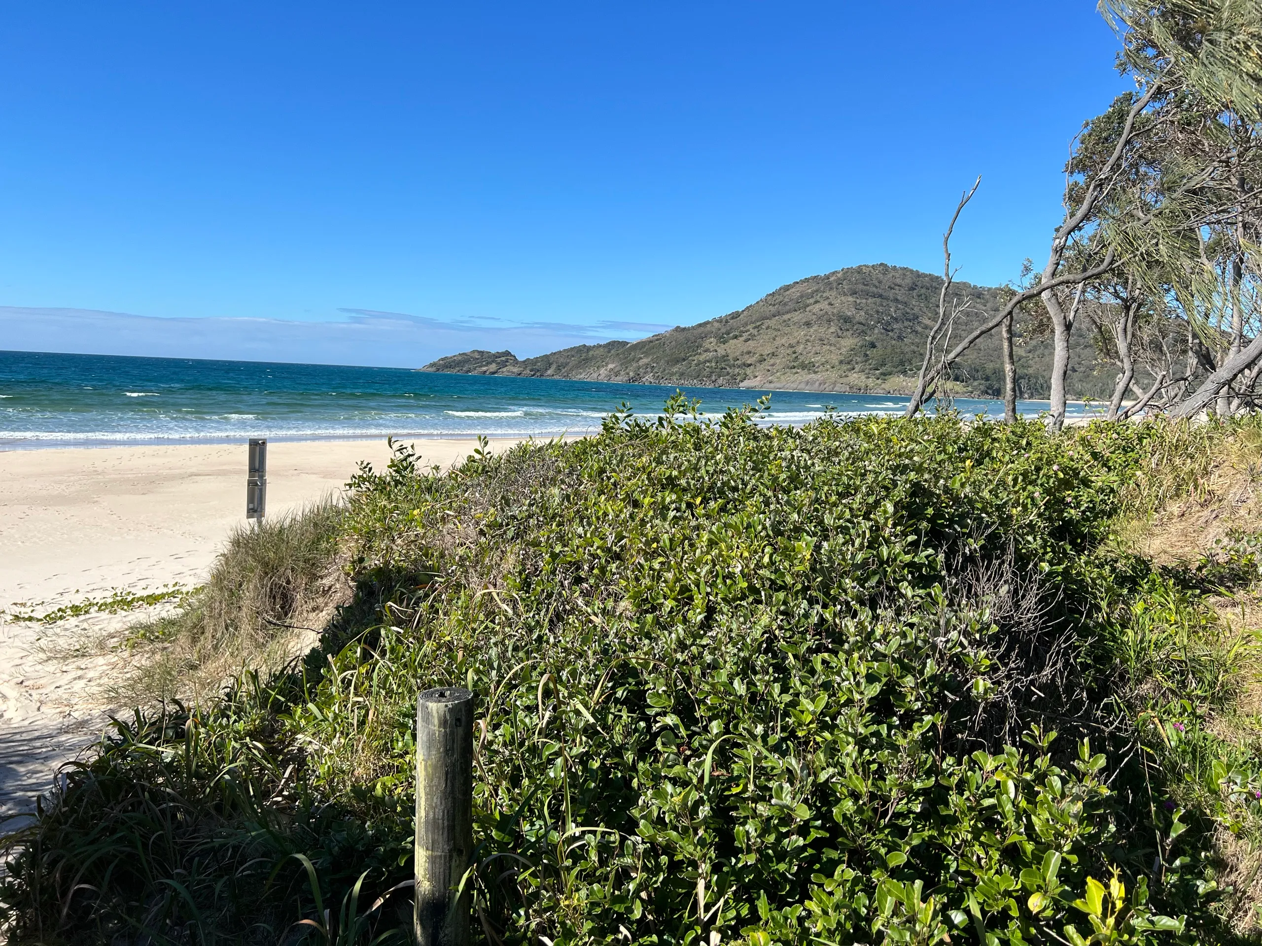 Sandy path through coastal dunes leading to Hat Head beach and the headland