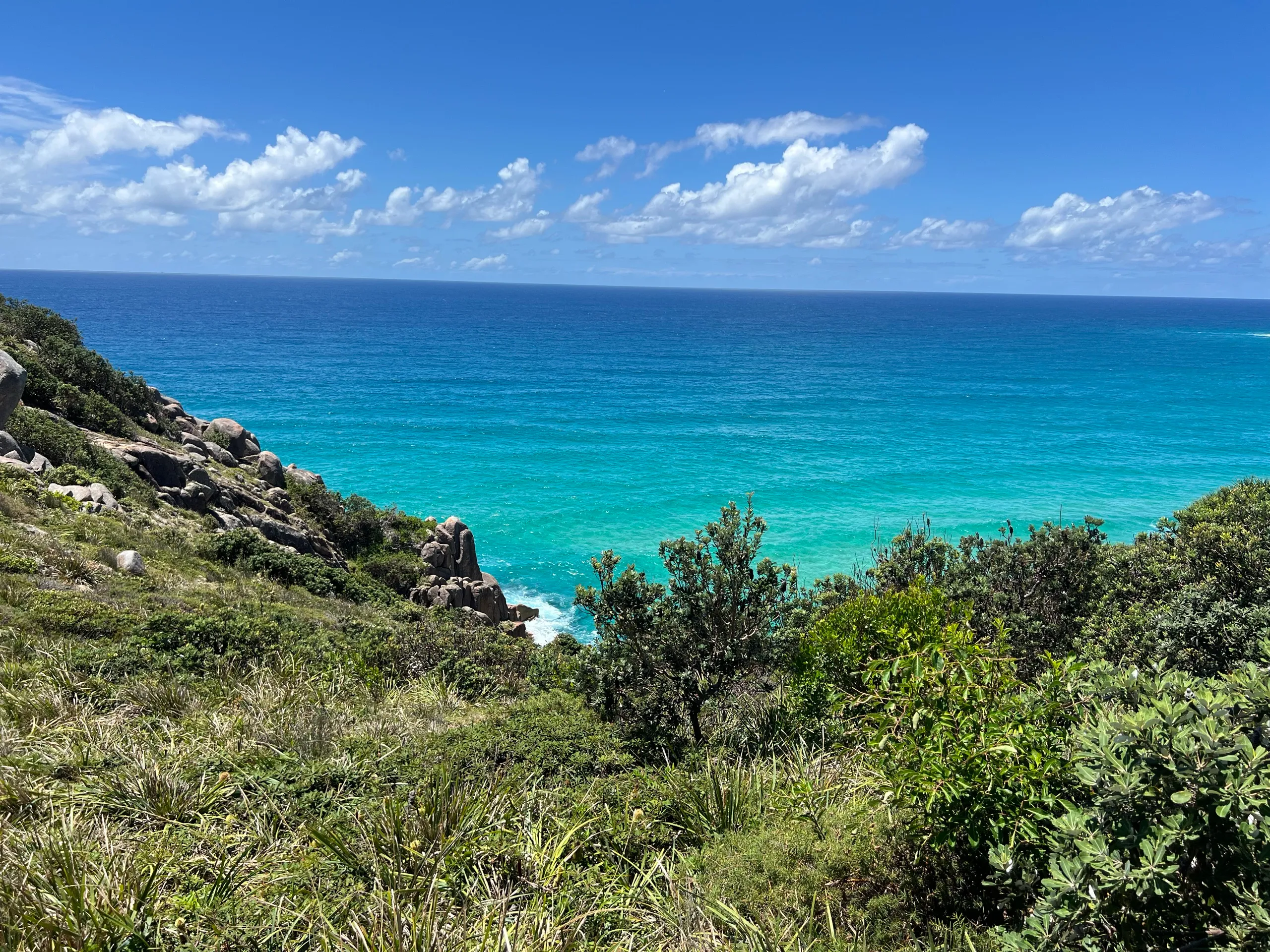Vivid turquoise ocean seen from a grassy headland near South West Rocks