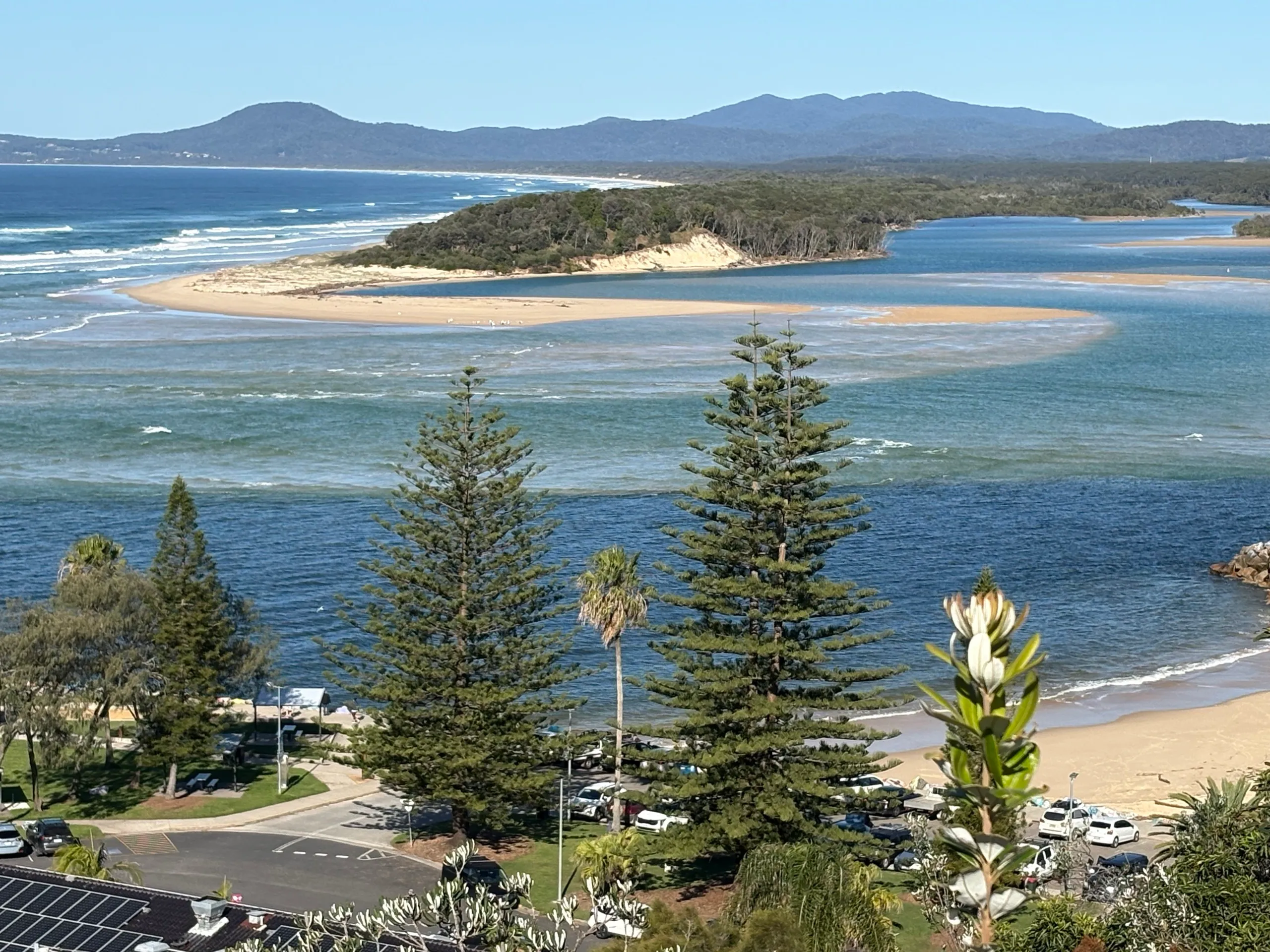 Norfolk pines framing the Nambucca River mouth and sand spit from the lookout