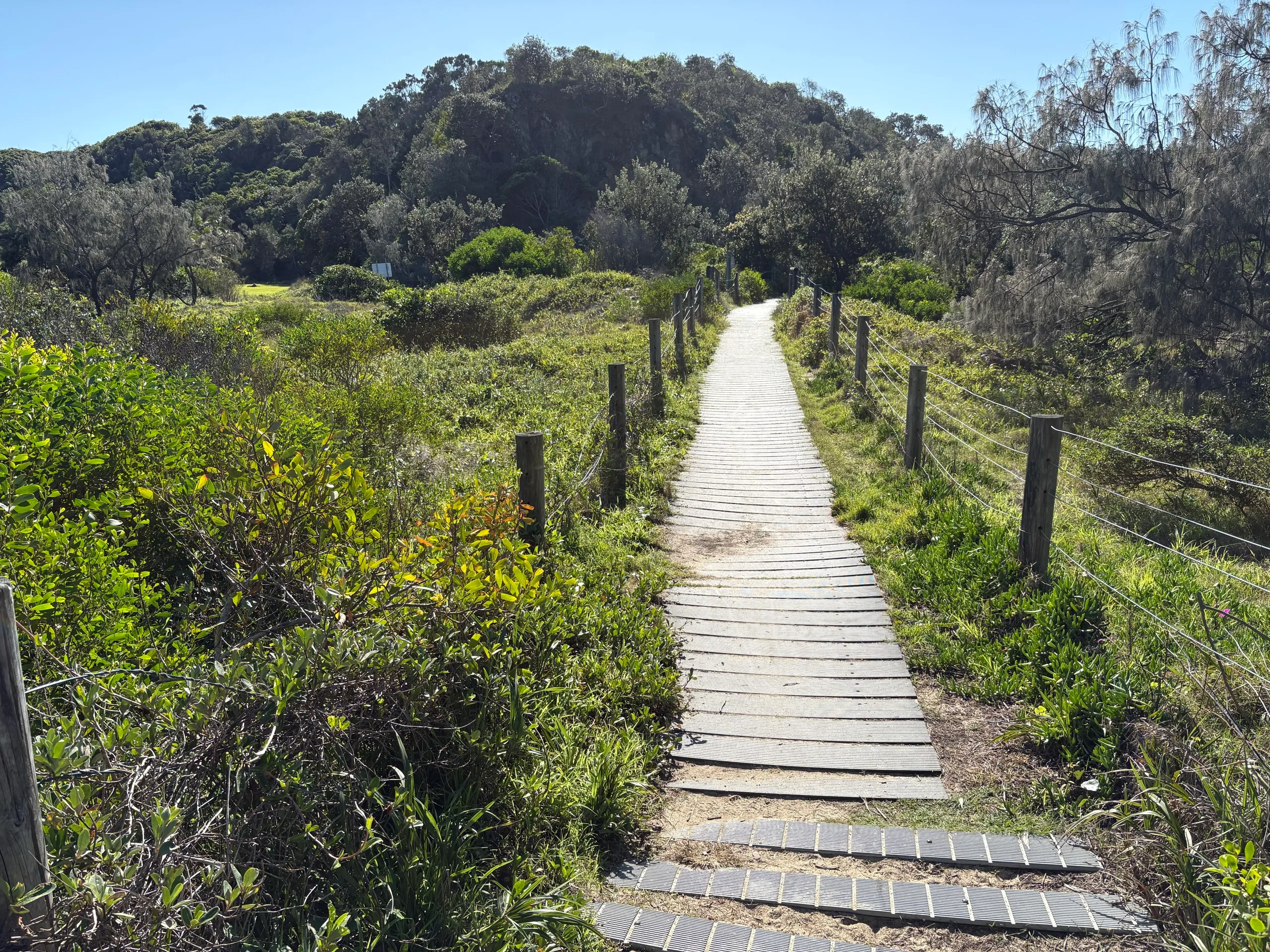 A timber boardwalk through coastal heath toward a forested hill at Nambucca Heads