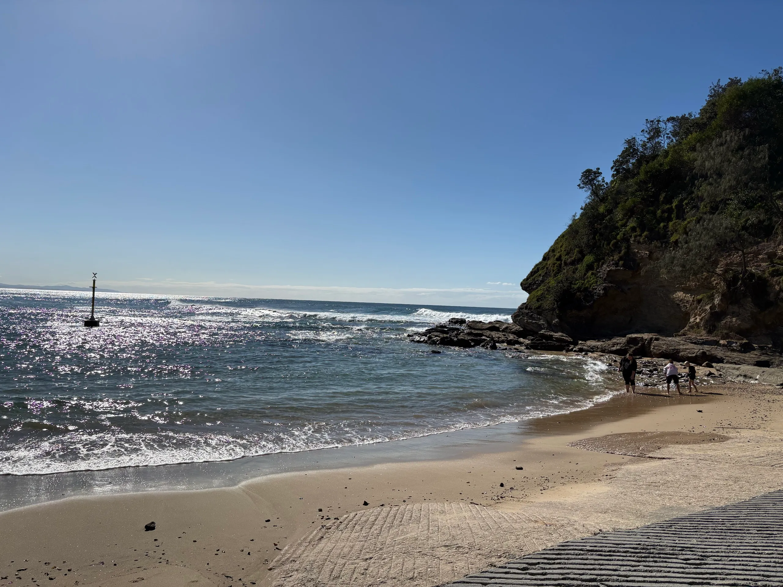 A sandy cove below a forested headland at Nambucca Heads