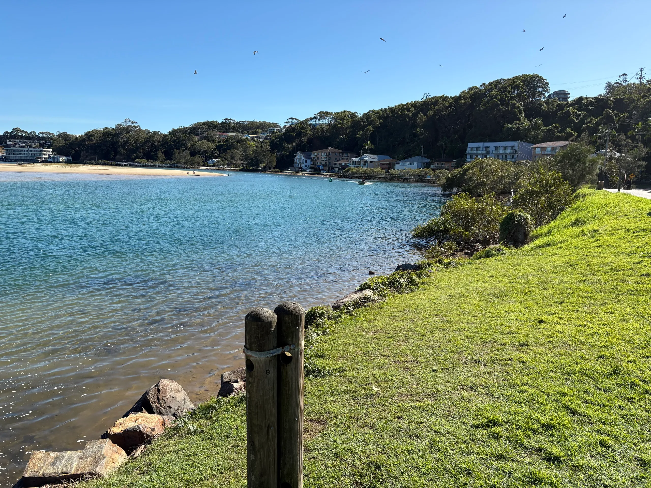 The calm Nambucca River estuary seen from a grassy park bank