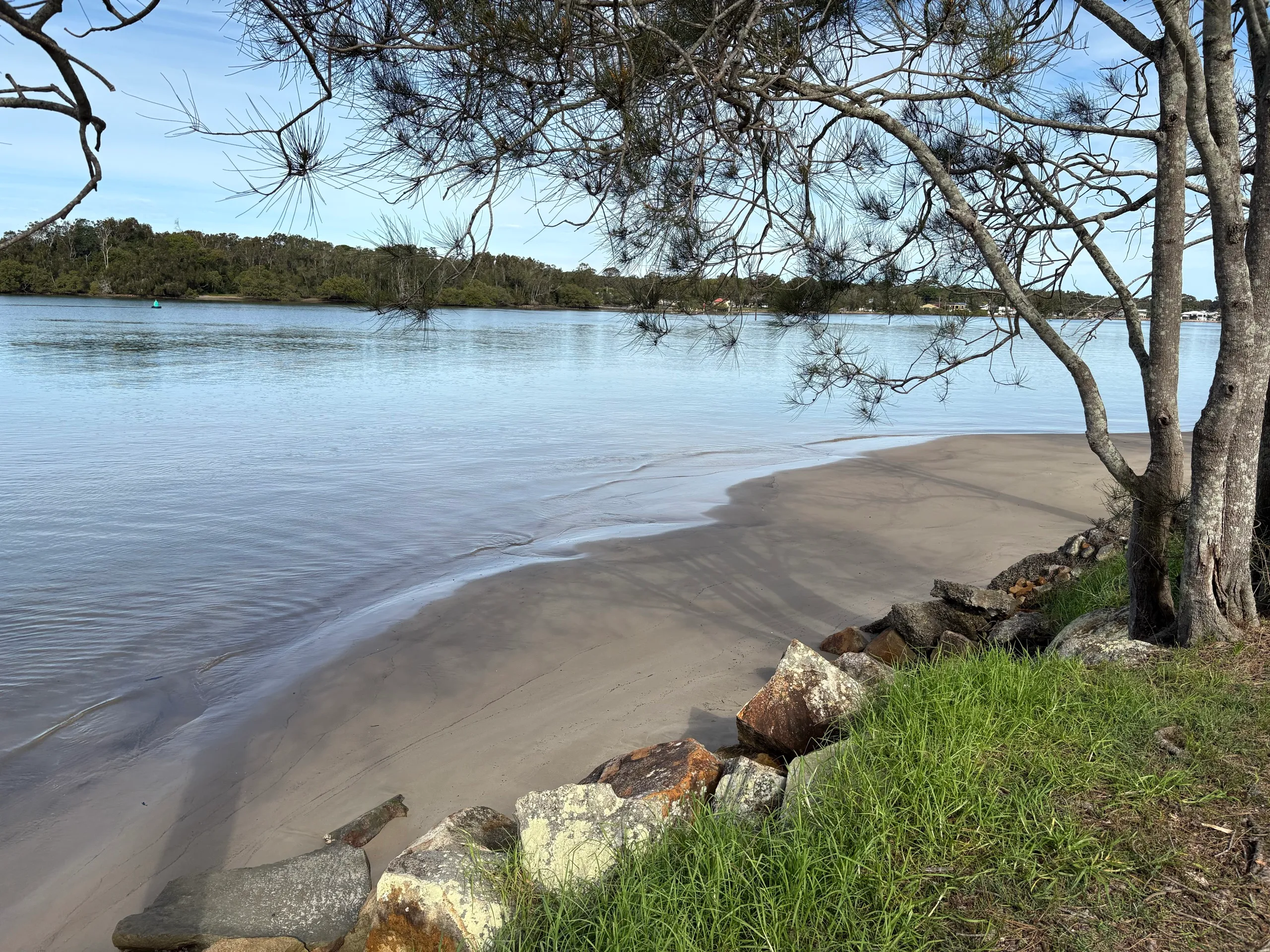 A quiet sandy river beach under a she-oak on the Camden Haven River