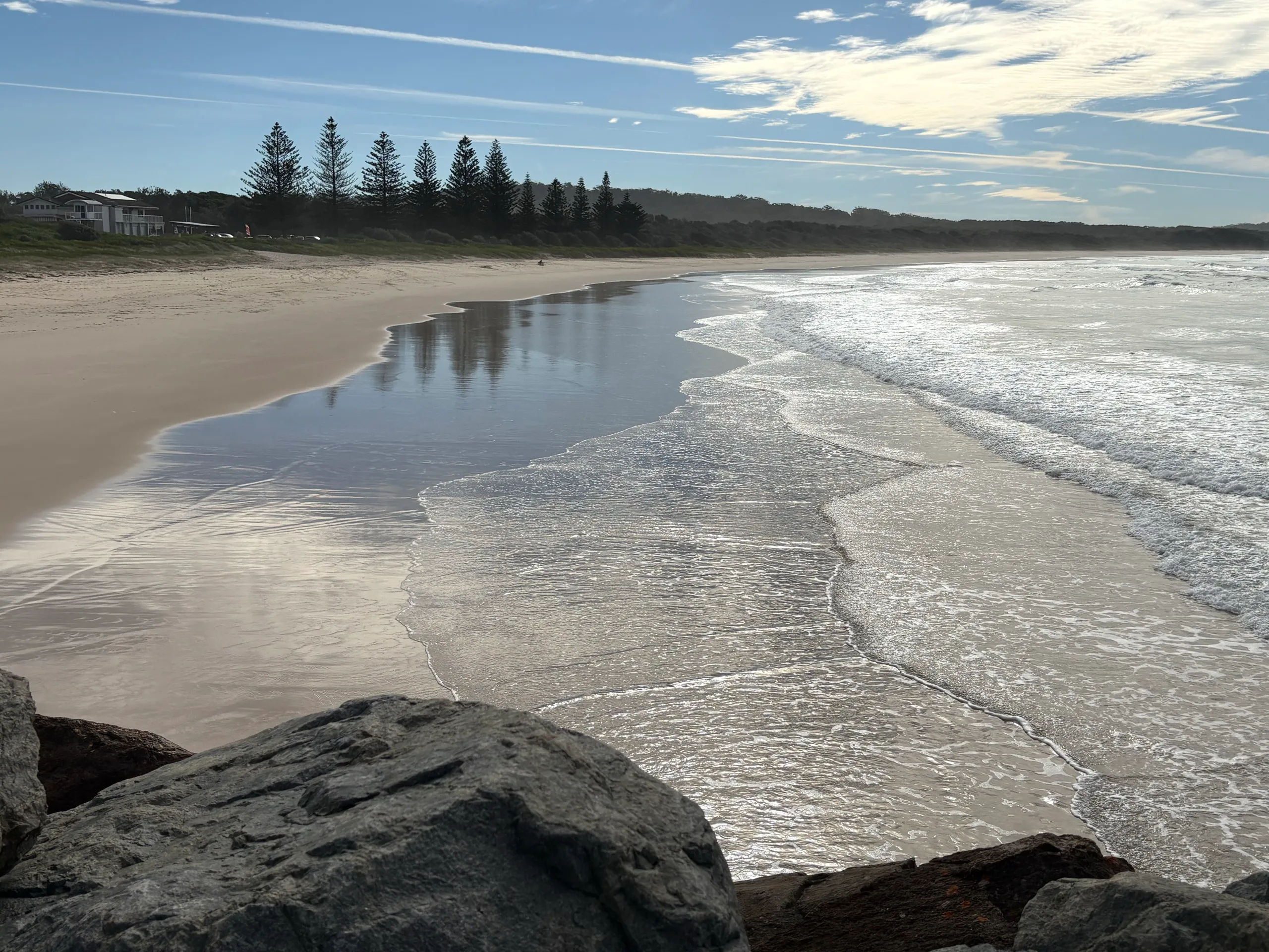 Waves rolling onto North Haven Beach with Norfolk pines along the dunes
