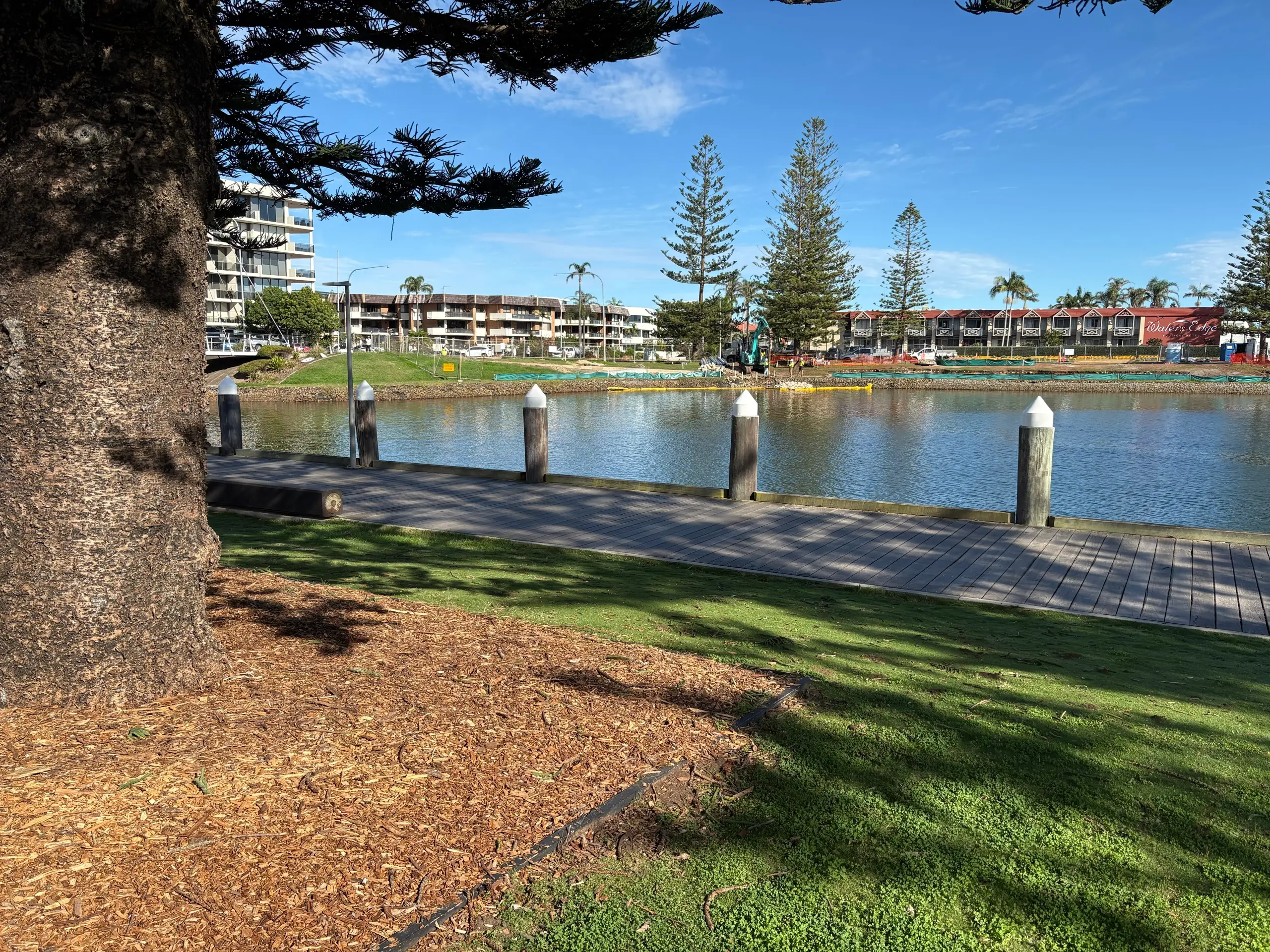The river foreshore and Norfolk pines in the centre of Port Macquarie
