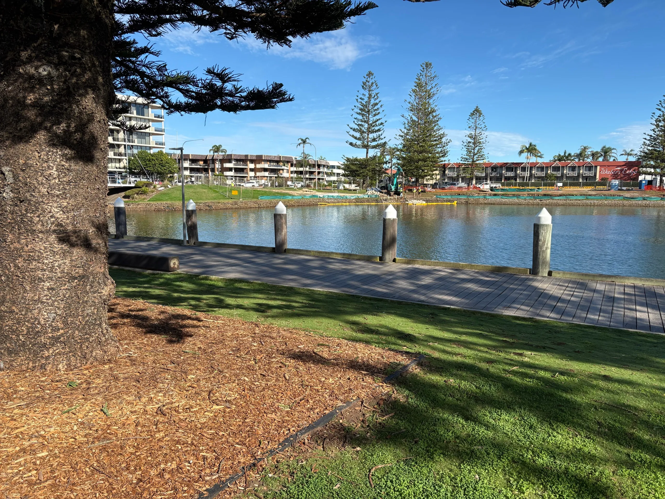 The river foreshore and Norfolk pines in the centre of Port Macquarie