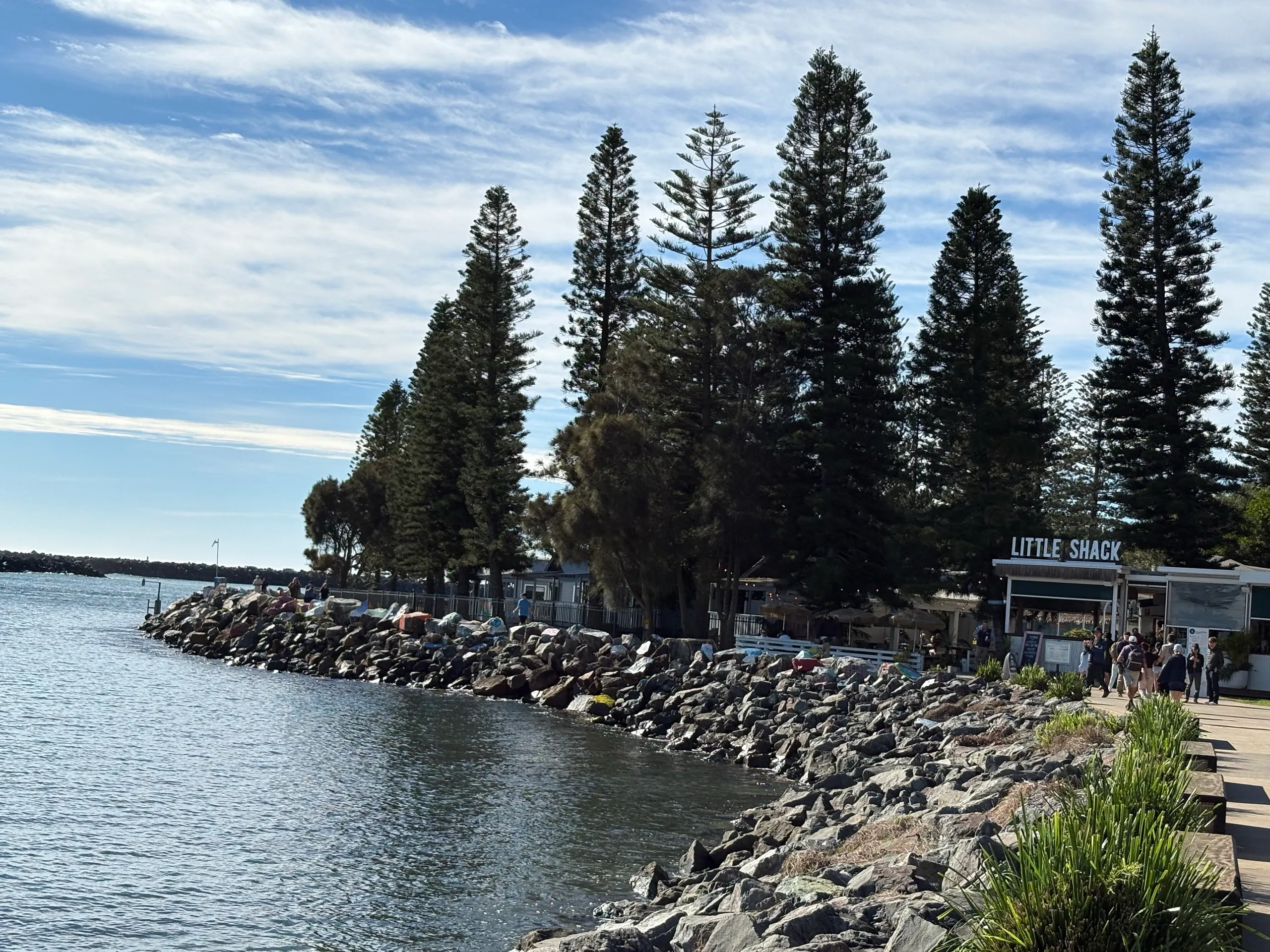 The breakwall path and Norfolk pines by Town Beach in Port Macquarie