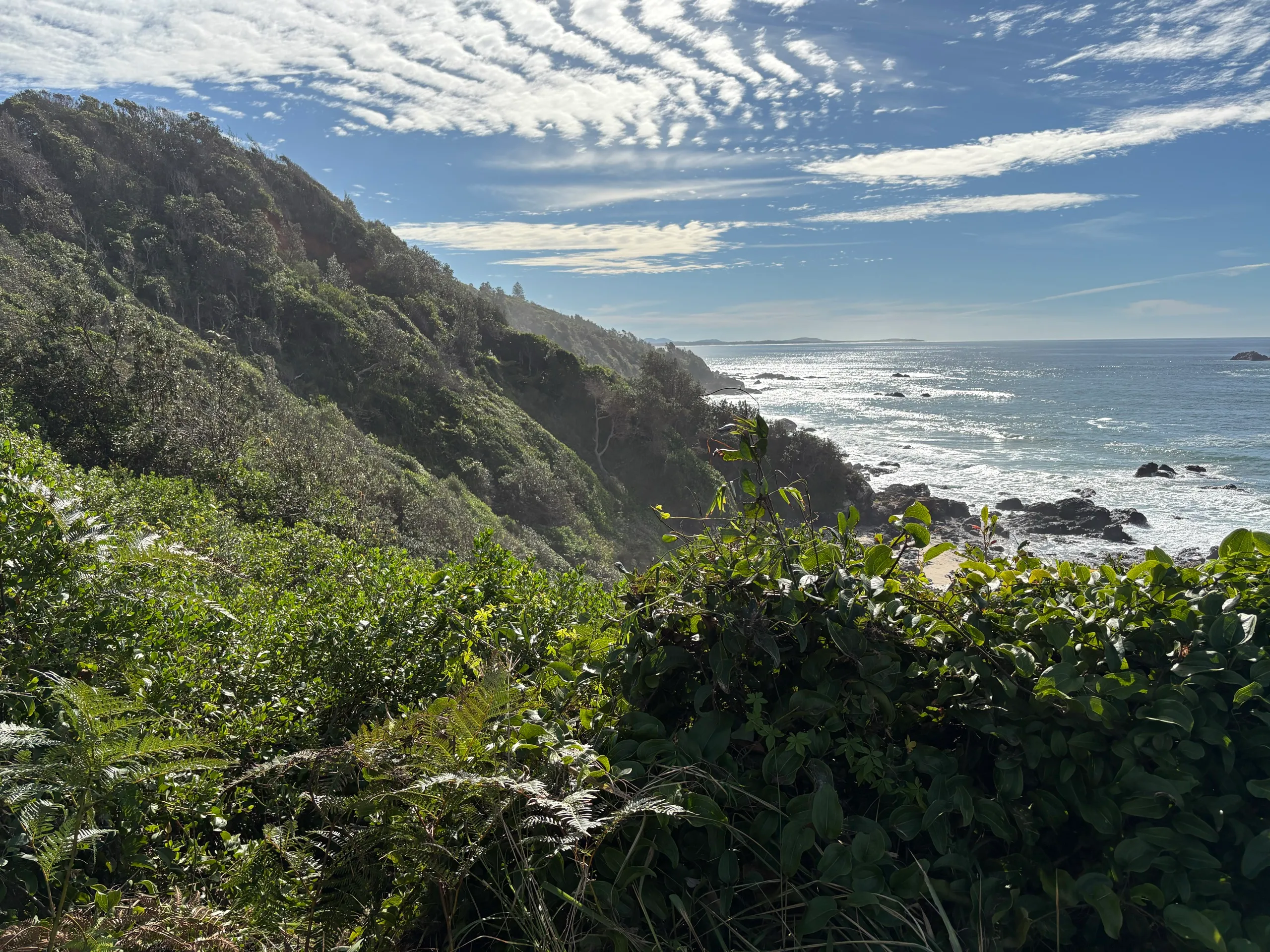 Wild coast and rainforest along the southern Coastal Walk at Port Macquarie