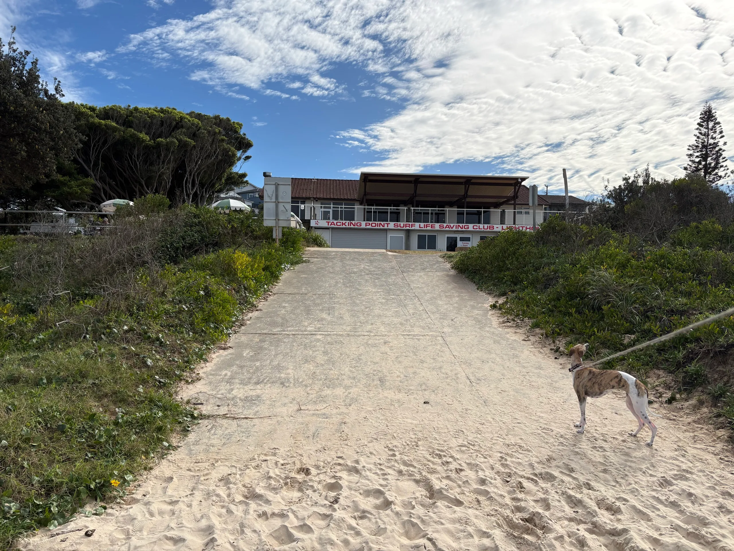 The Tacking Point Surf Life Saving Club above Lighthouse Beach