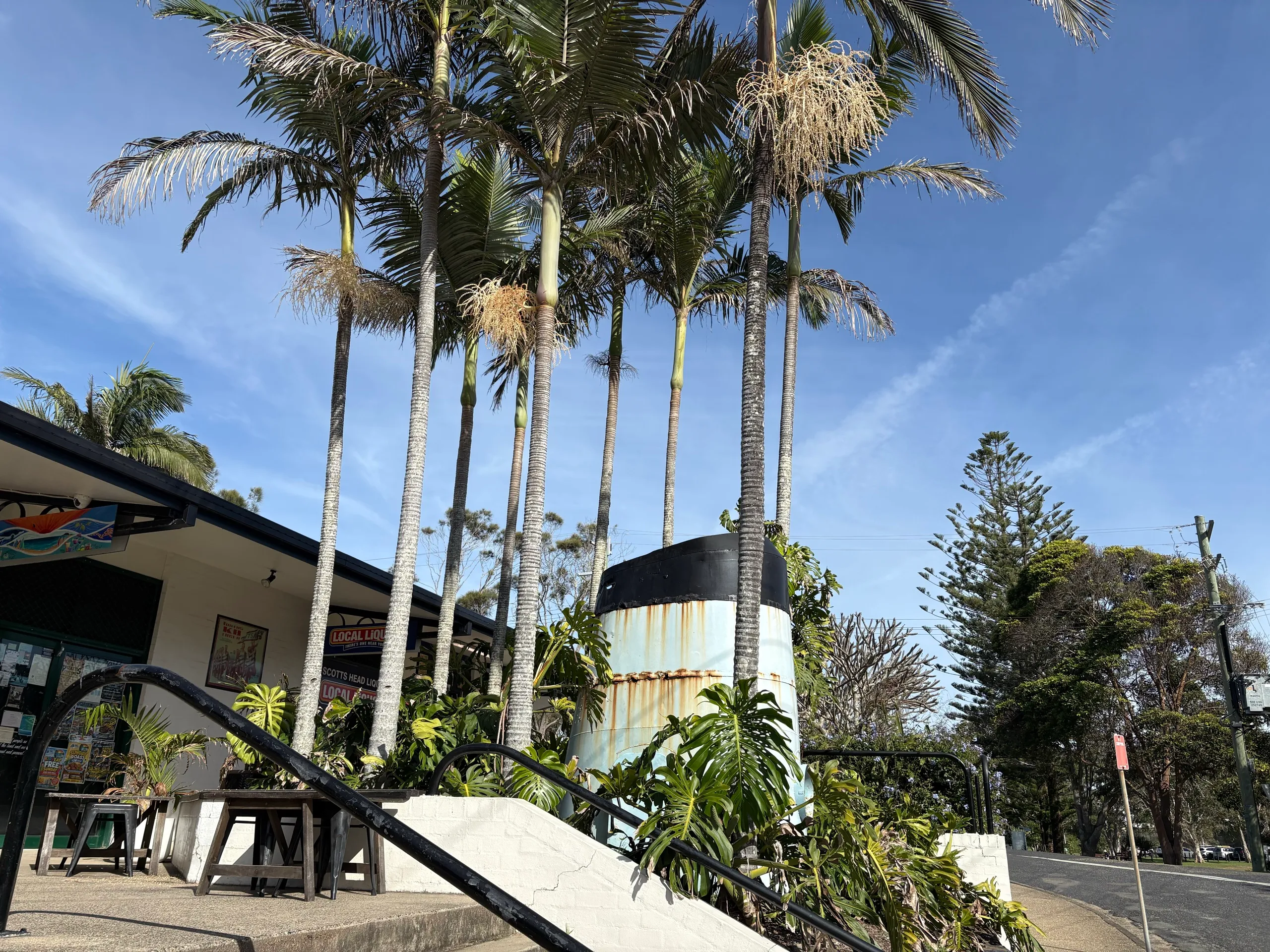 Tall palm trees and an old water tank above the corner store in the Scotts Head village