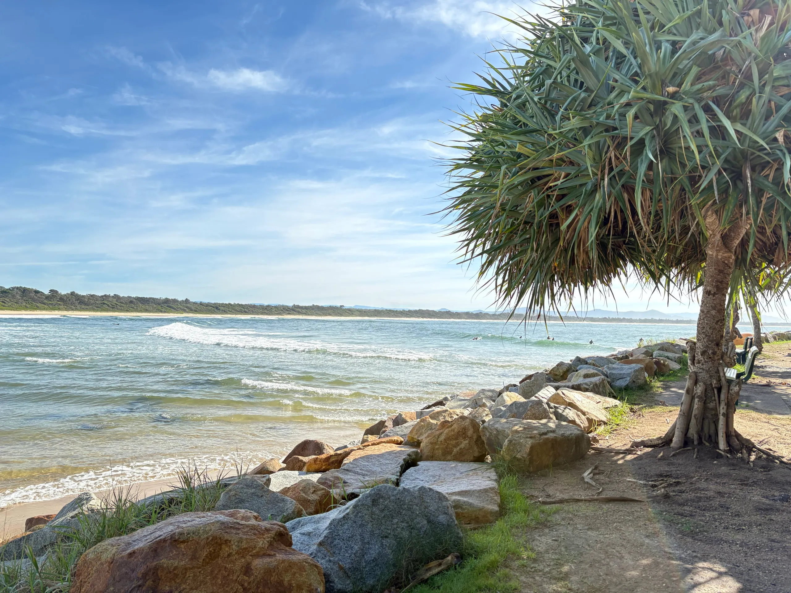 Rocks and a pandanus tree beside the creek mouth at Scotts Head, with a small wave breaking