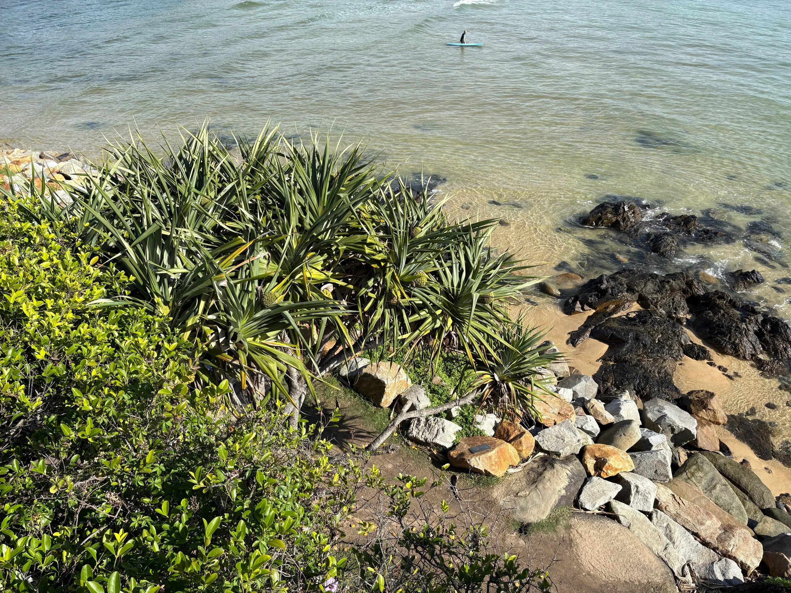 Clear shallow water and a rock platform below the Scotts Head point, with a surfer paddling out