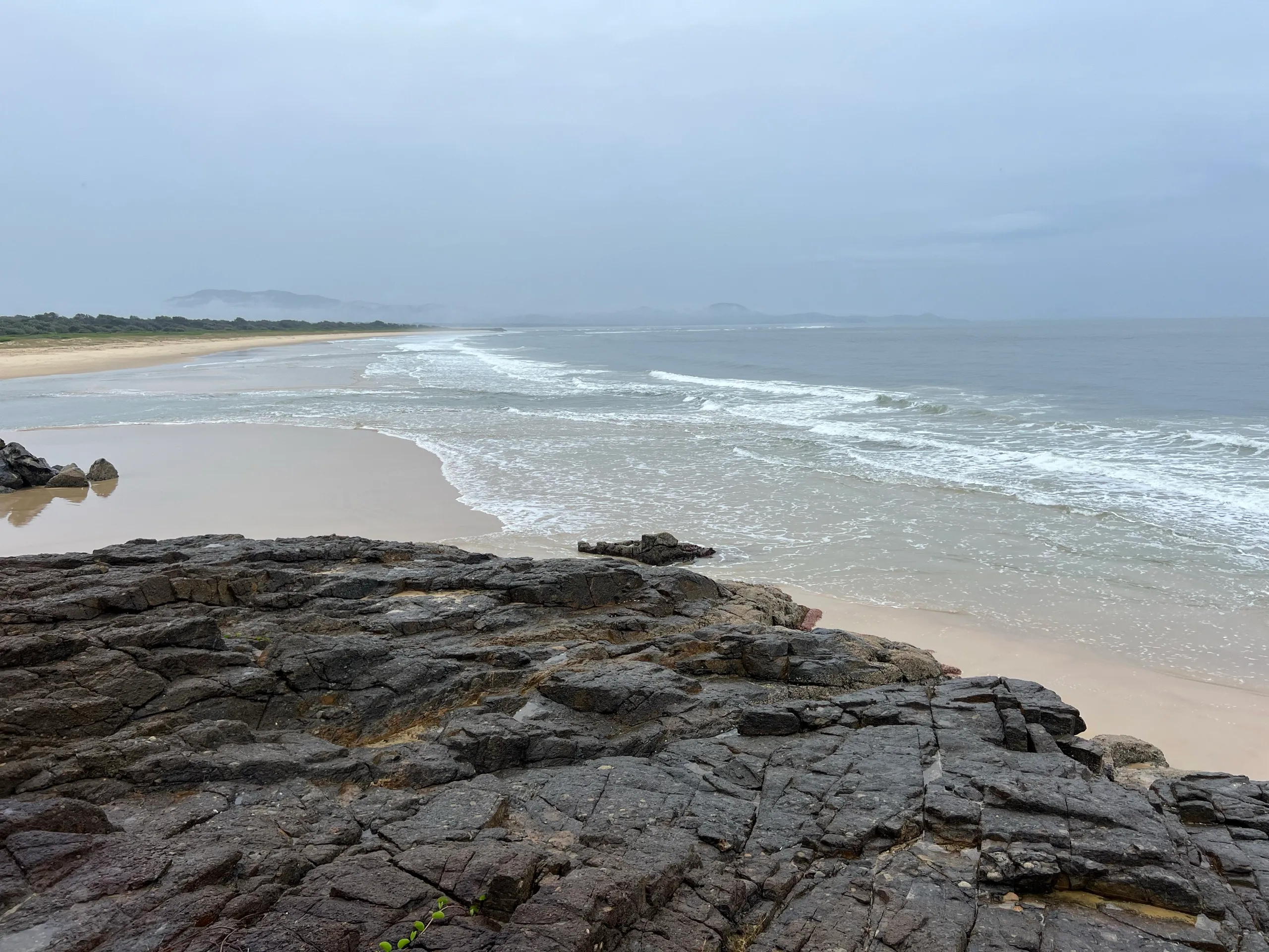 Dog friendly South West Rocks: the off-leash beaches and where to stay