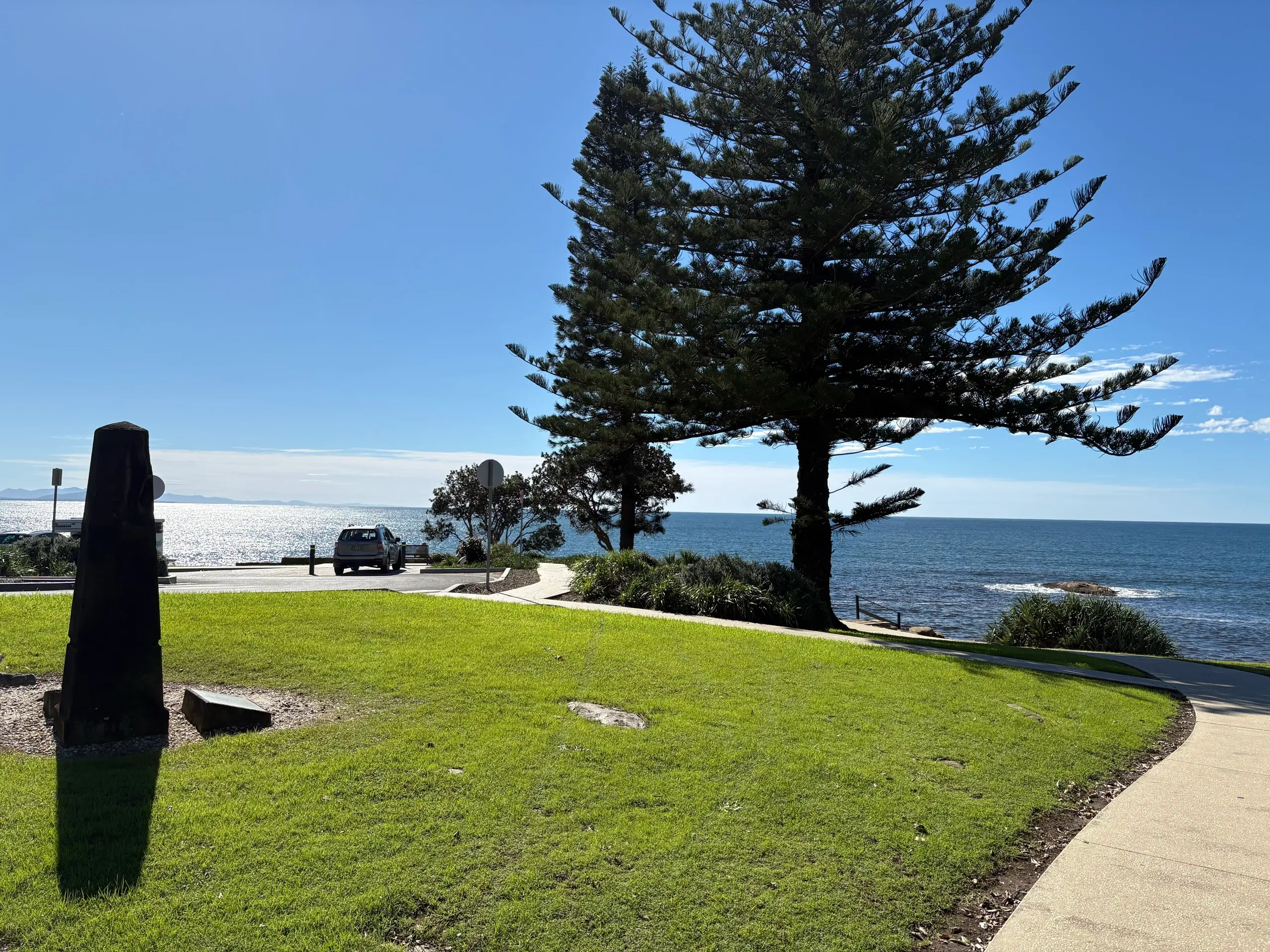 A large Norfolk Island pine and lawn on the South West Rocks foreshore reserve