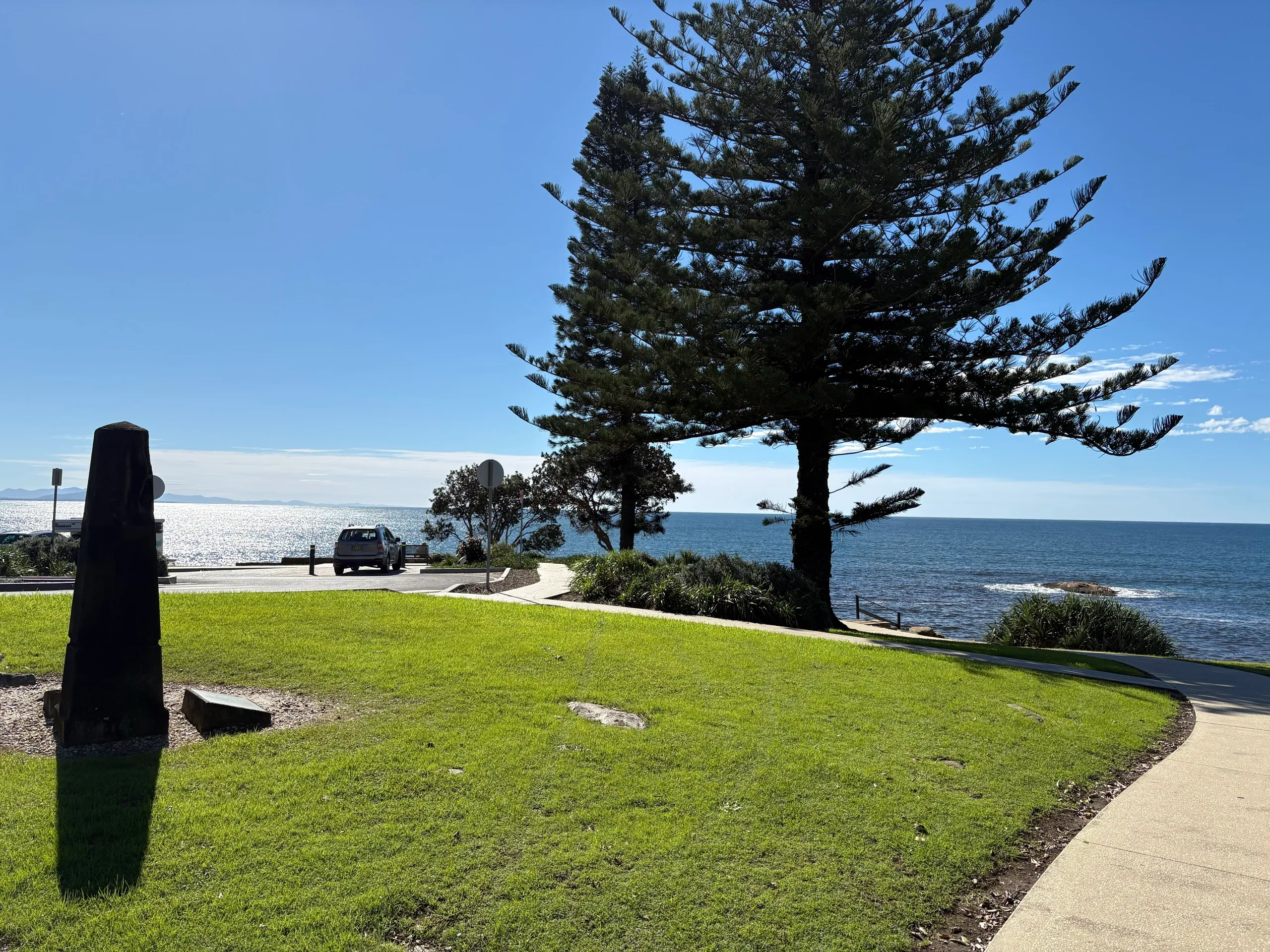 A large Norfolk Island pine and lawn on the South West Rocks foreshore reserve
