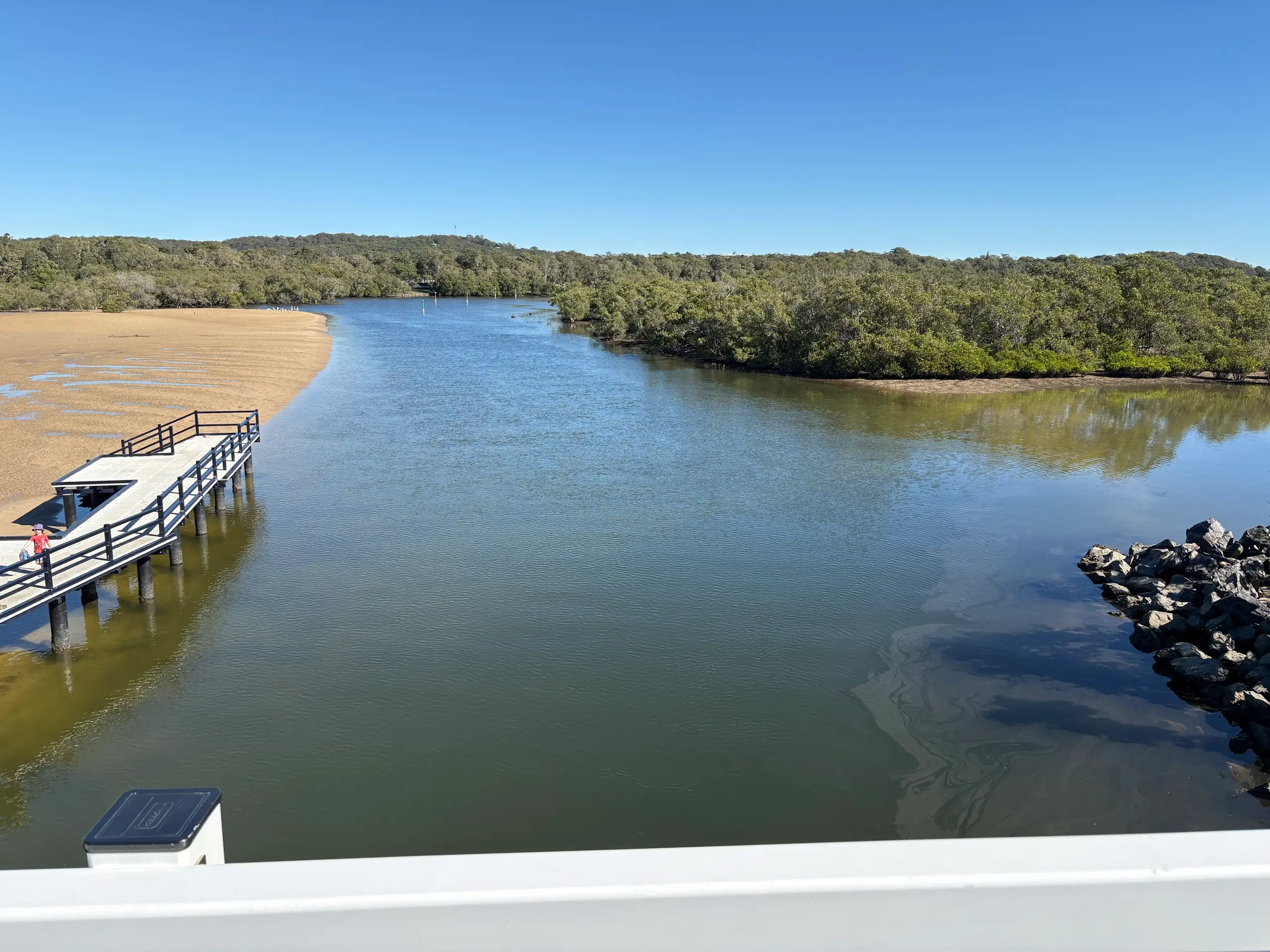Calm Back Creek estuary lined with mangroves at South West Rocks