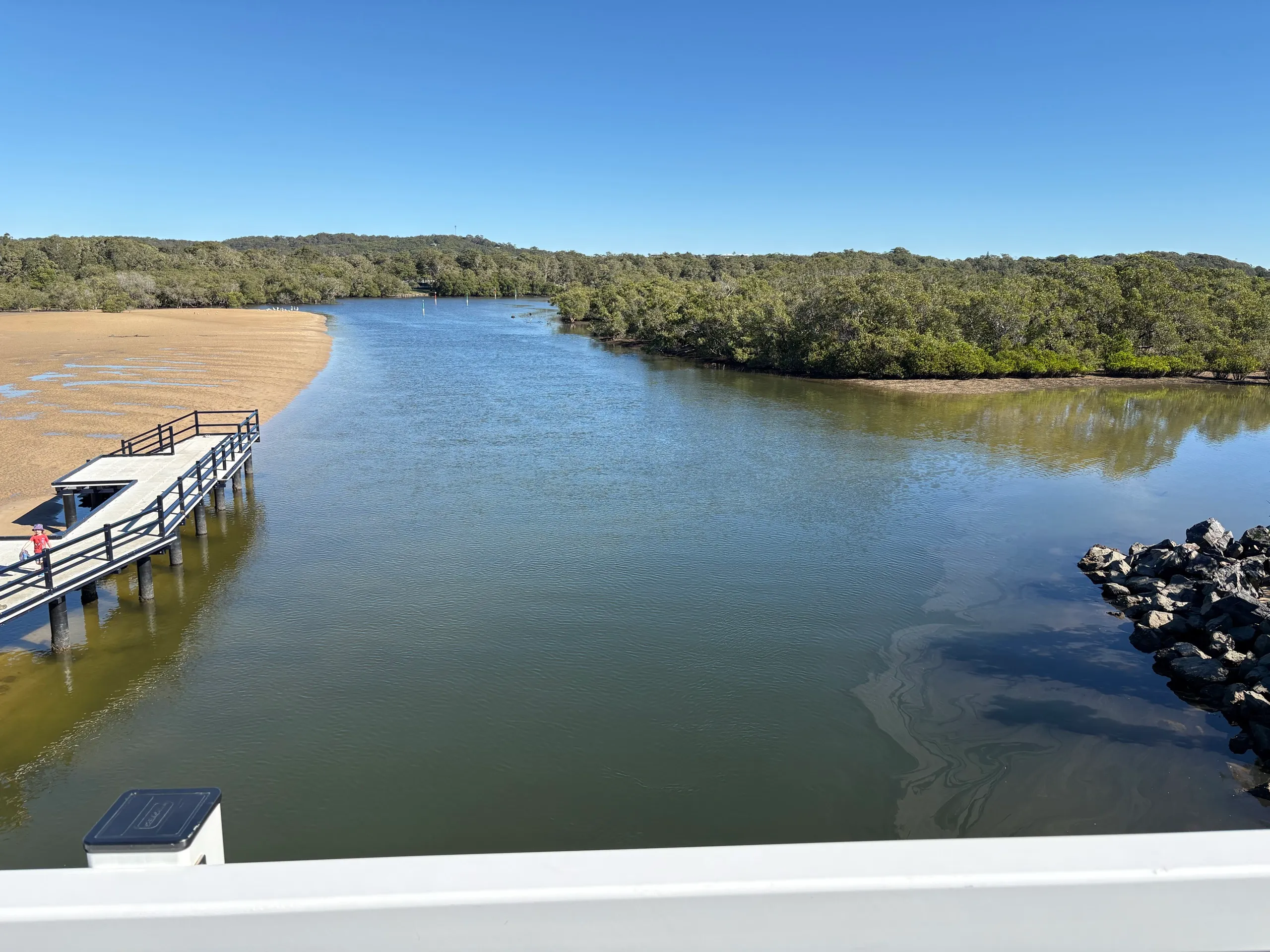 Calm Back Creek estuary lined with mangroves at South West Rocks