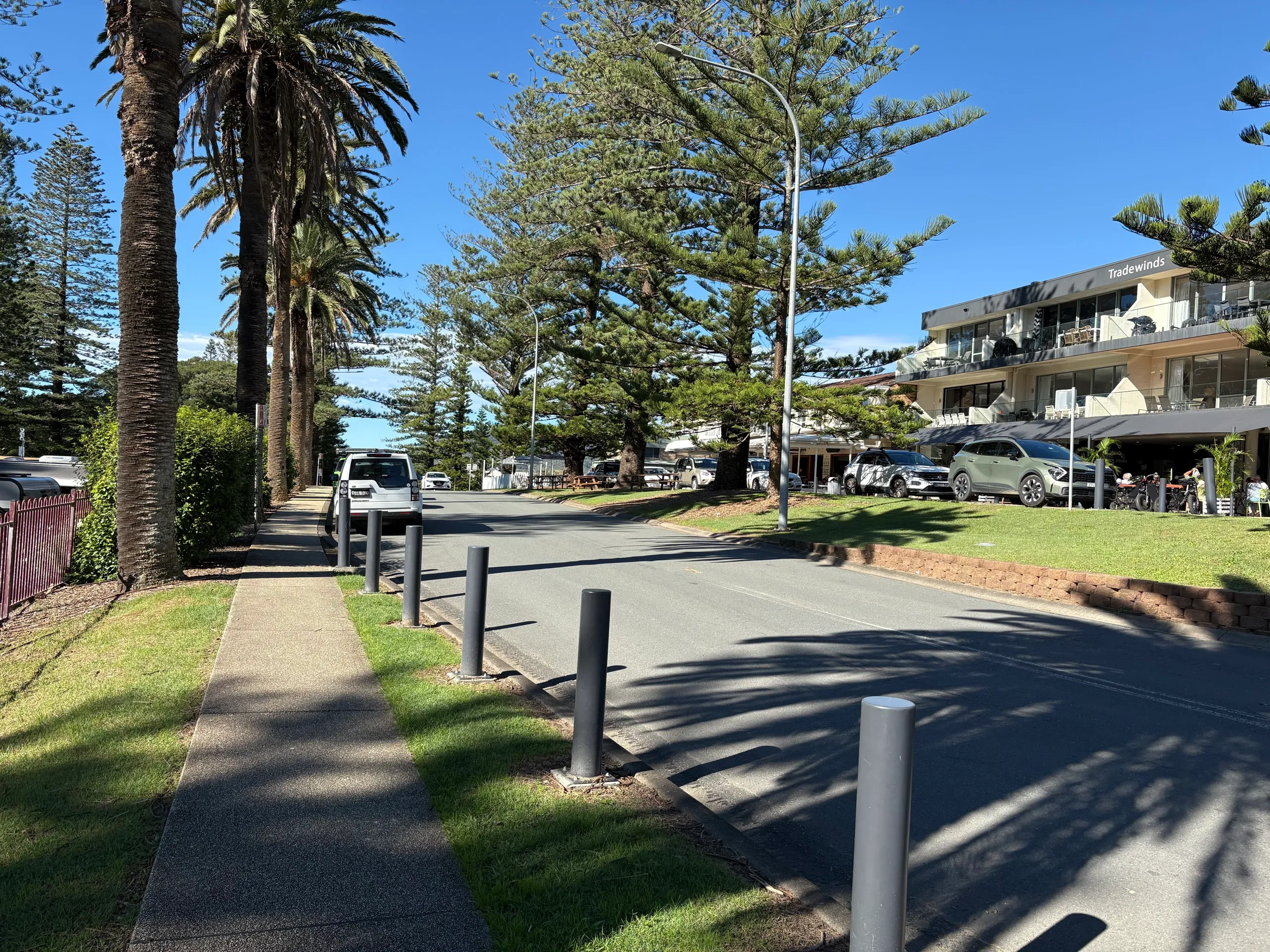 Norfolk pines and palms along the Horseshoe Bay foreshore in the centre of South West Rocks