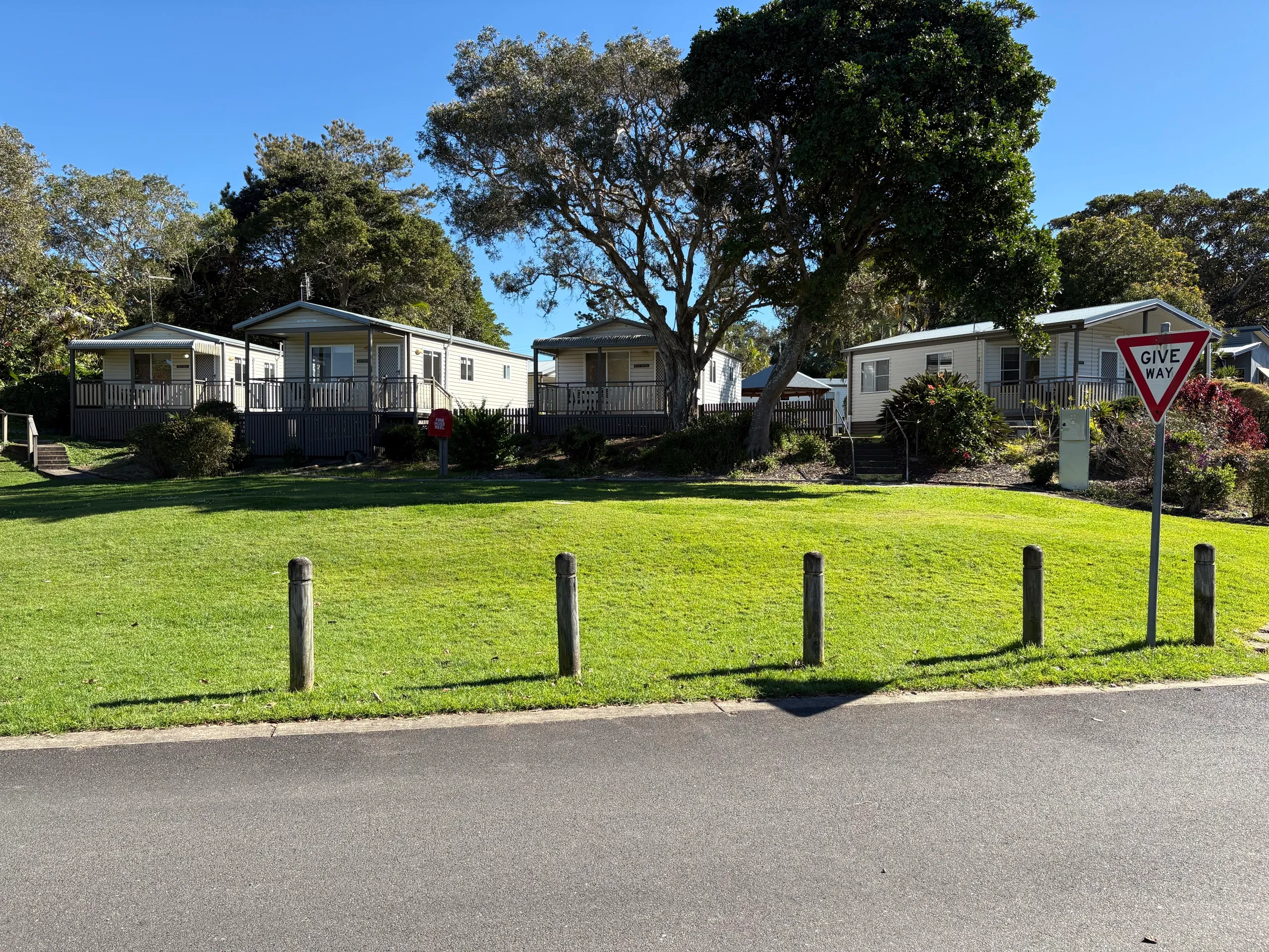 Cabins under large trees at the holiday park in Urunga