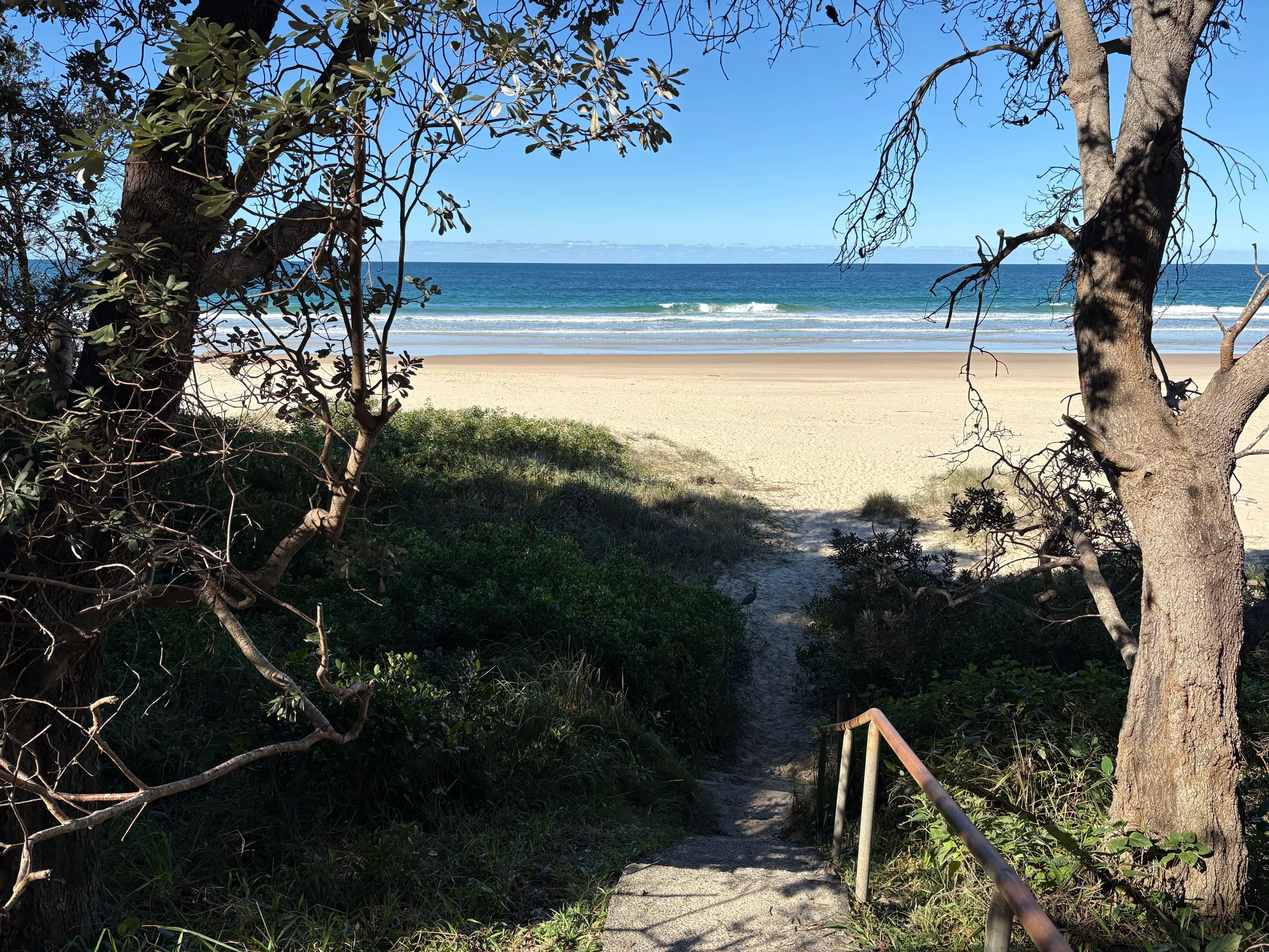 A sandy path leading down through coastal trees to the beach at Urunga